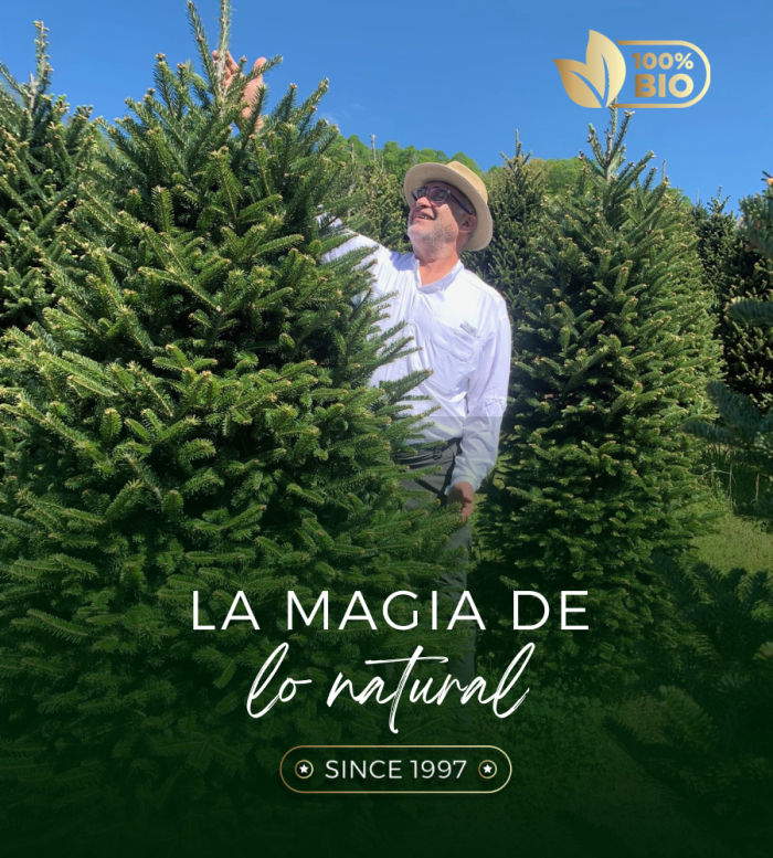 Navidada Natural ARBOL DE NAVIDAD NATURAL