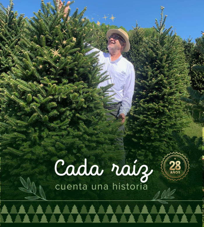 Navidad Natural